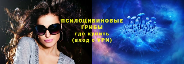 дмт Алексин